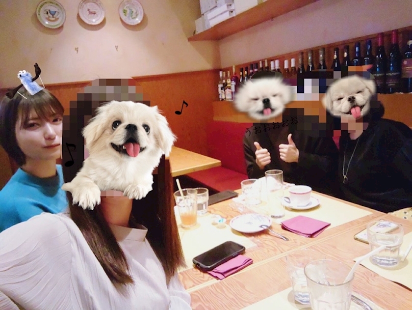 ViVid-IKB-日記745592