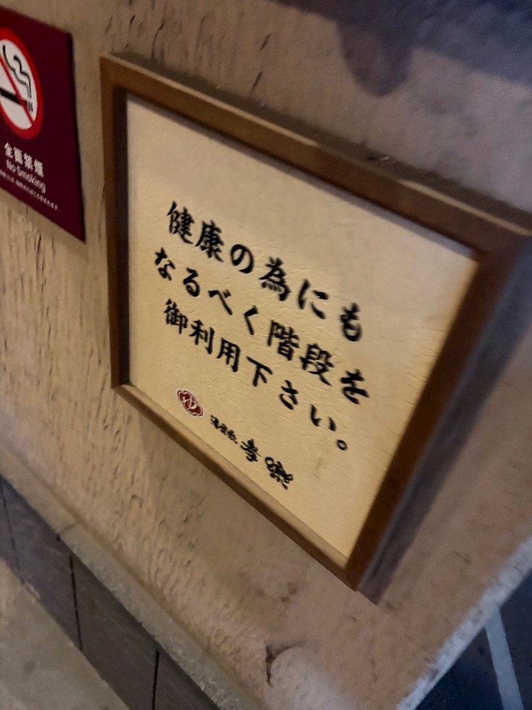 一条 葵