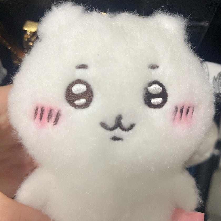 クラブカゲロウ・錦日記1599953