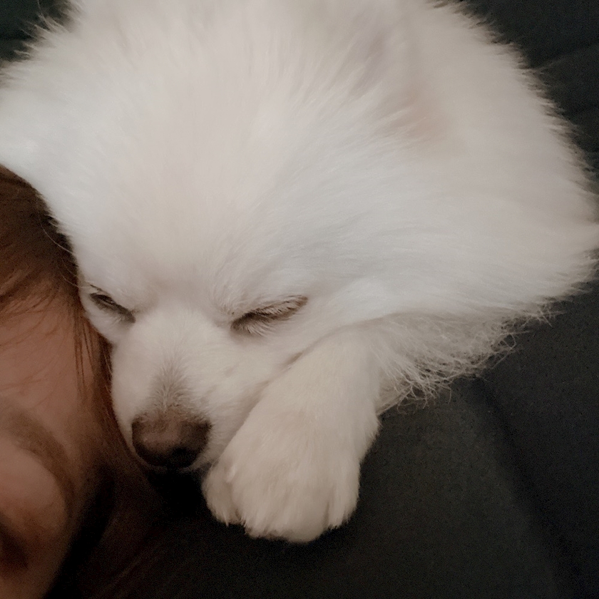 ママ七瀬　あや