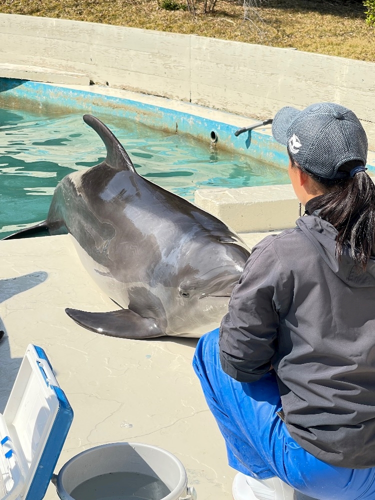 Lounge 暖日記1624590