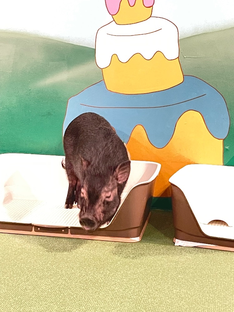 Lounge 暖日記1532448