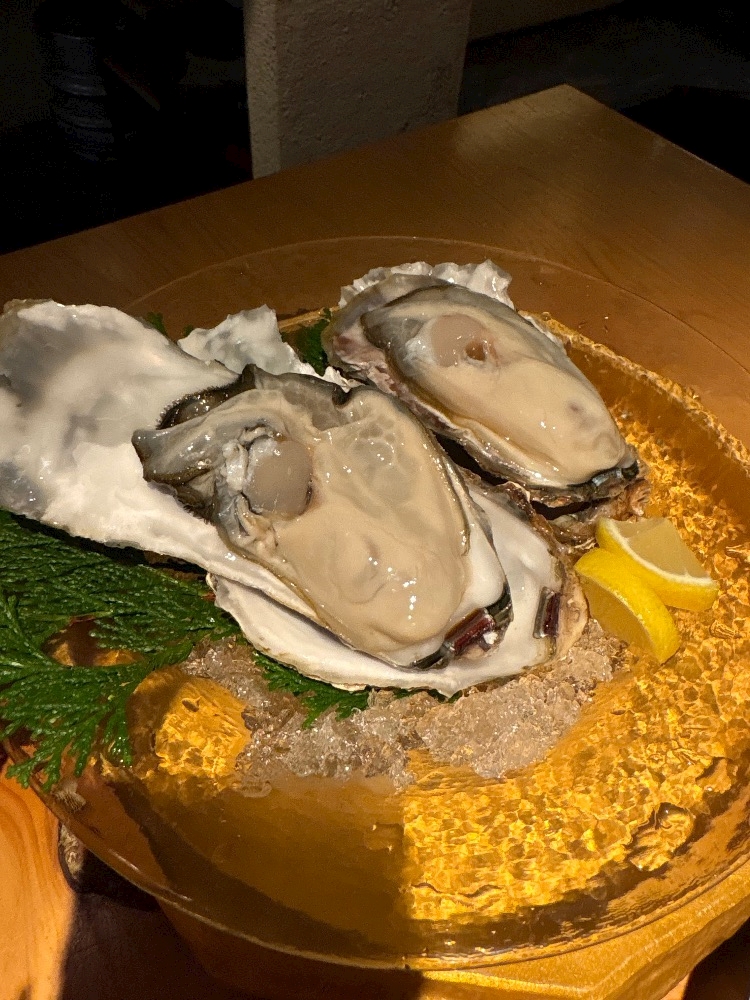 クラブカゲロウ・錦日記1581814