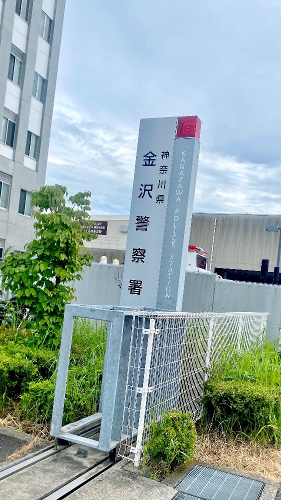 一条 葵