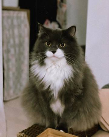 . . . 毎朝起こしに･･･