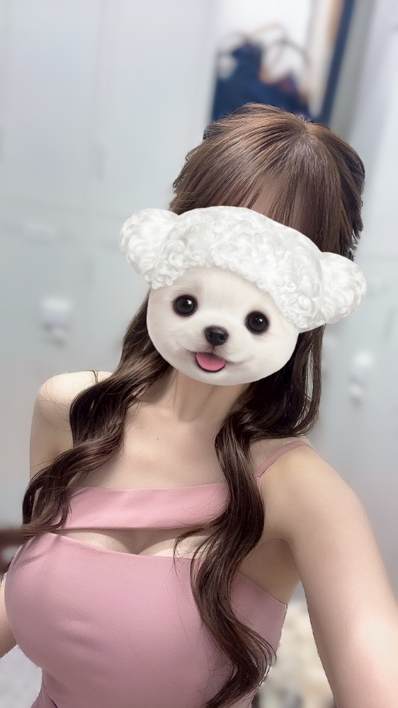一条 葵