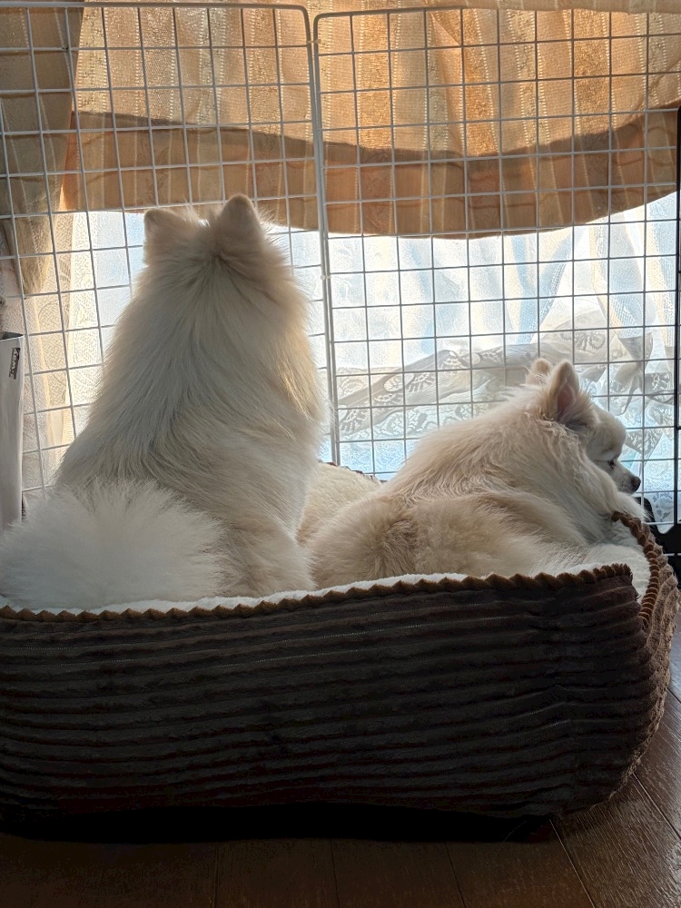 ママ七瀬　あや