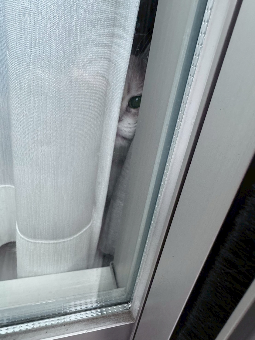 くらぶ色錦日記1544722