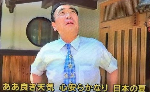 一条 葵