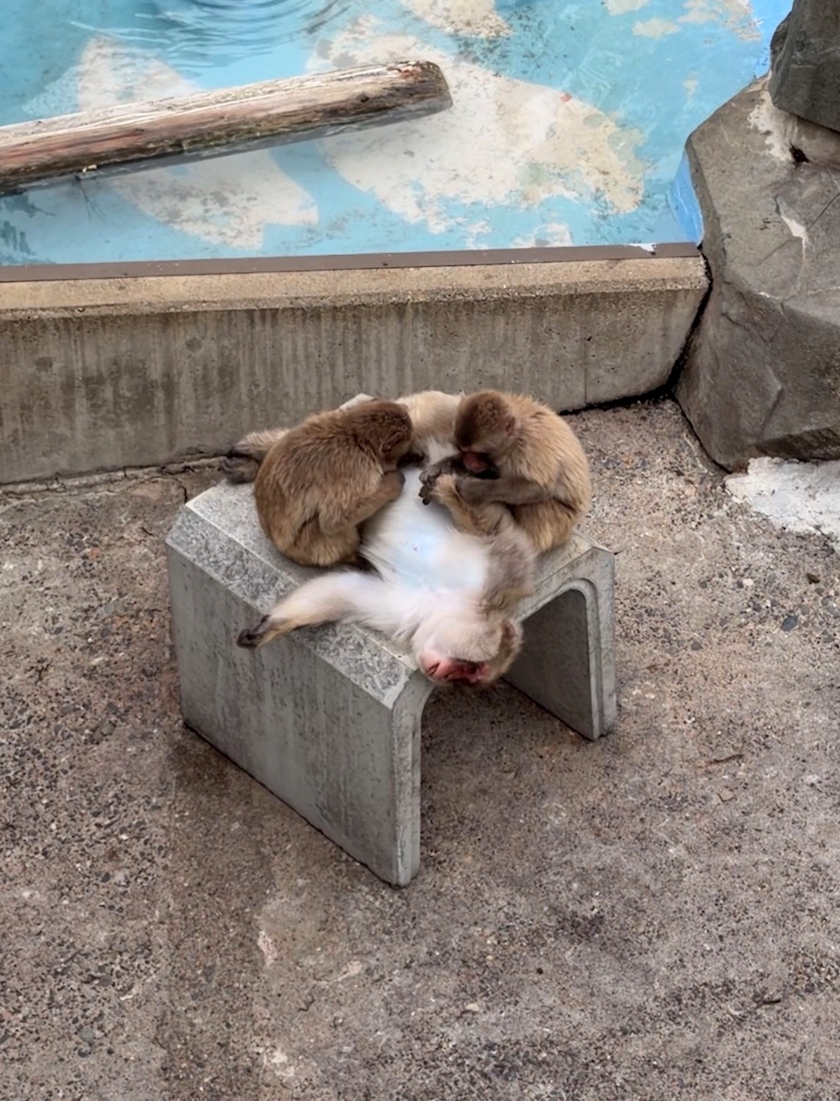 La vie et 中目黒日記1633921