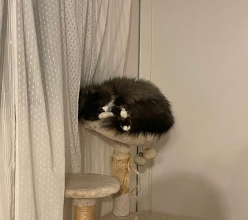 . . . いけ！ こじ･･･