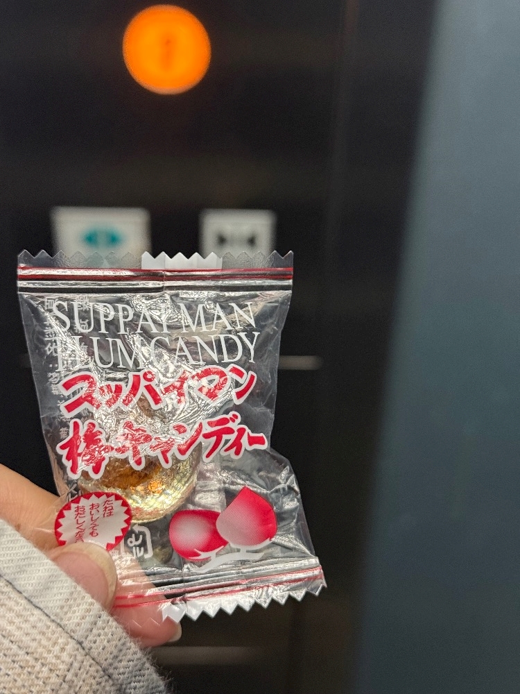 一条 葵