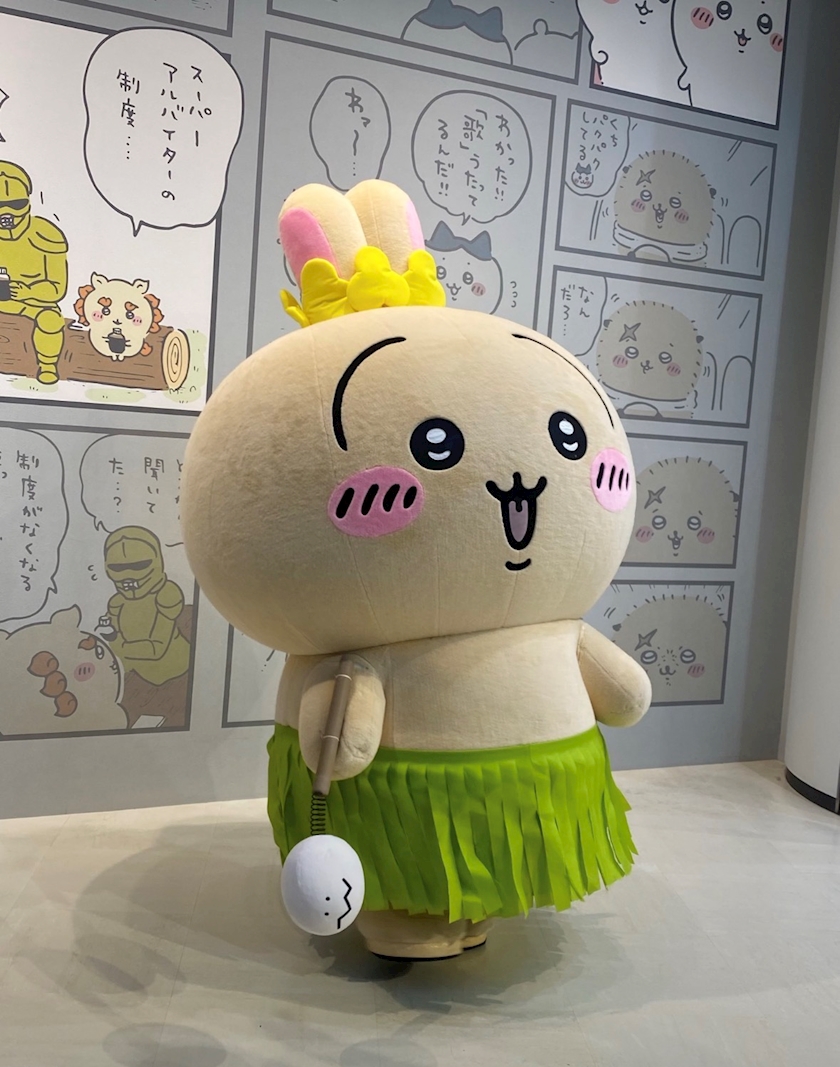 クラブカゲロウ・錦日記1788220