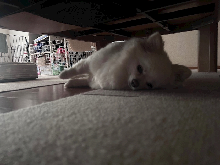 ママ七瀬　あや