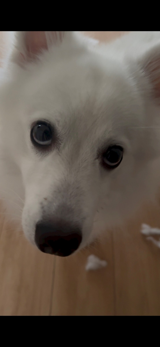 西船橋 VELLUGUE日記1519075