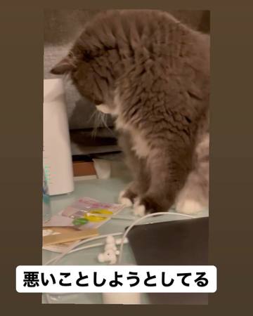 . . なかなかインスタ･･･