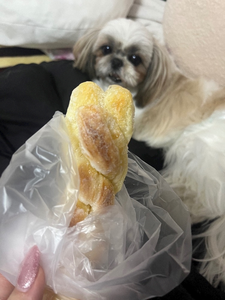 お昼のお仕事でお客様に❣️