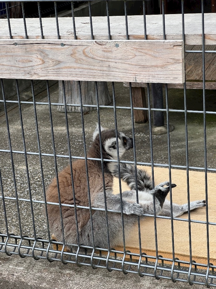 さら
