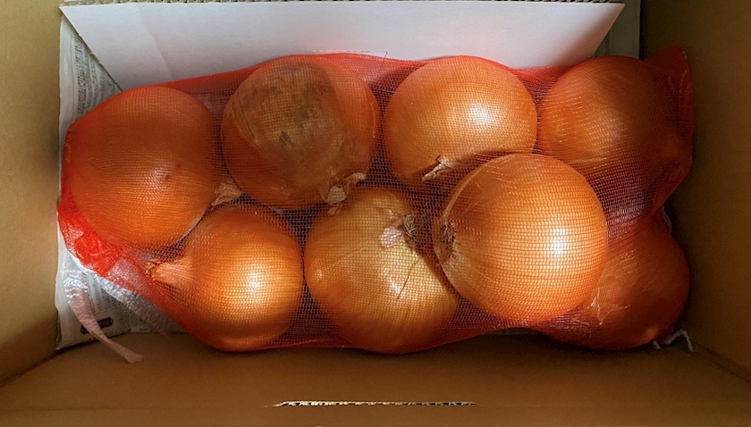 ThePARIS日記1547541