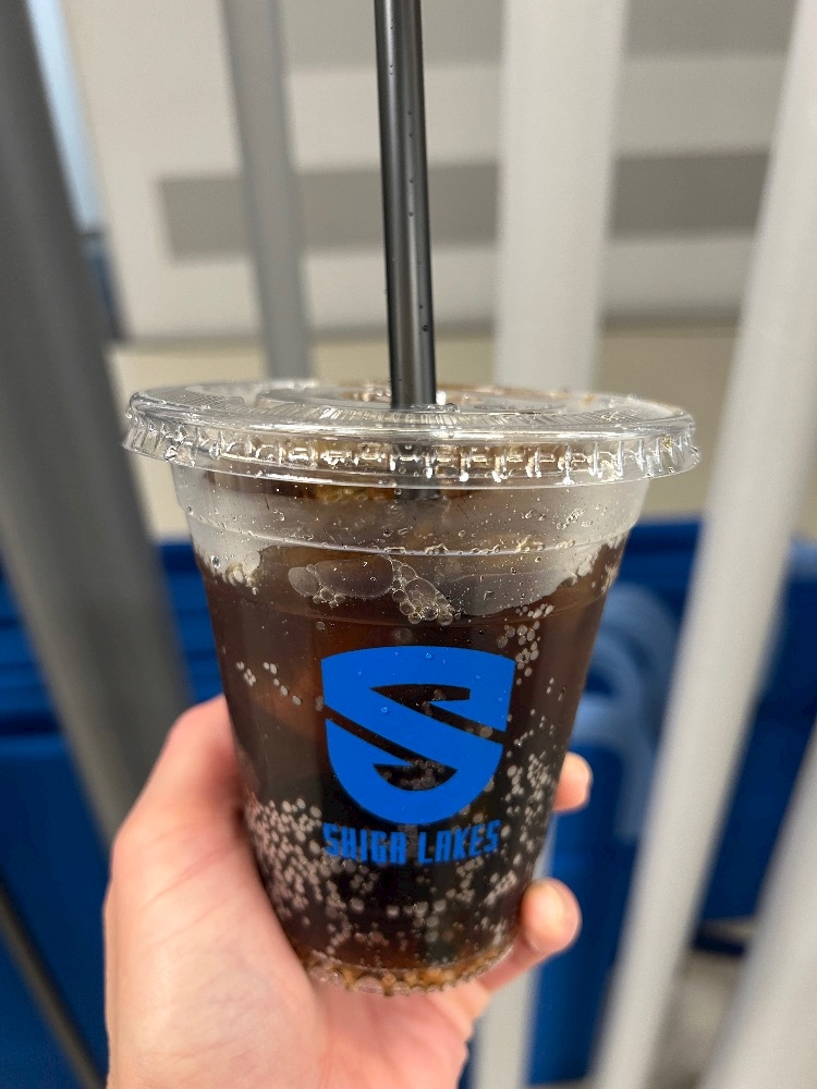 ((乂°∀°))ﾅﾝﾃﾞﾀﾞﾛ-