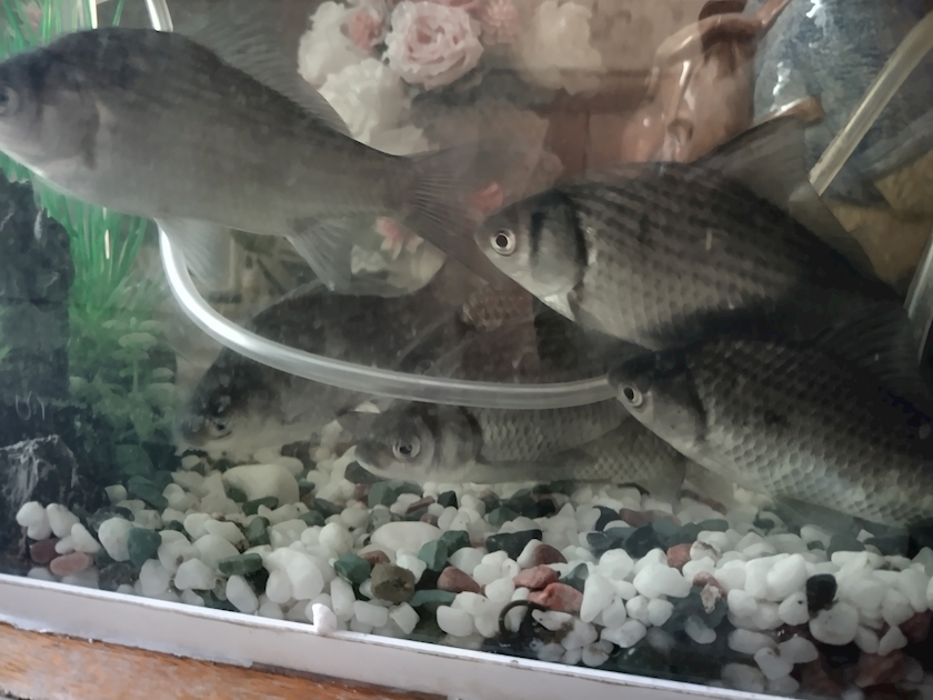 Lounge L’Atelier日記1558898