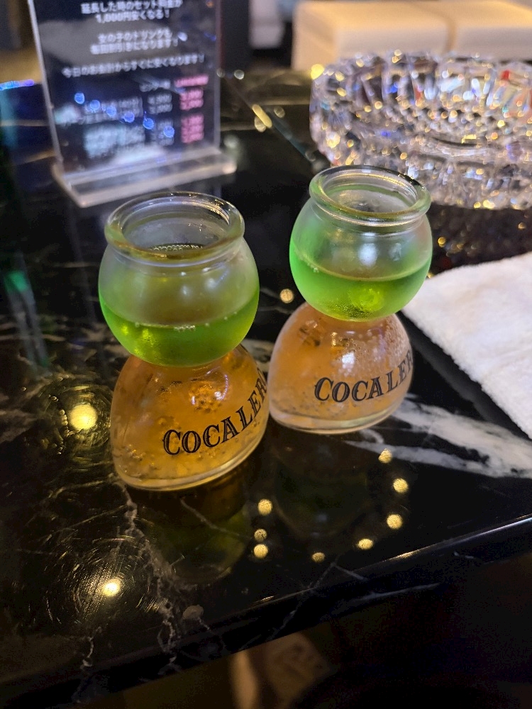 一条 葵