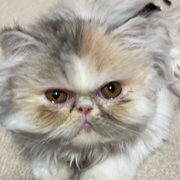 かわいすぎ💕溺愛してる😙･･･