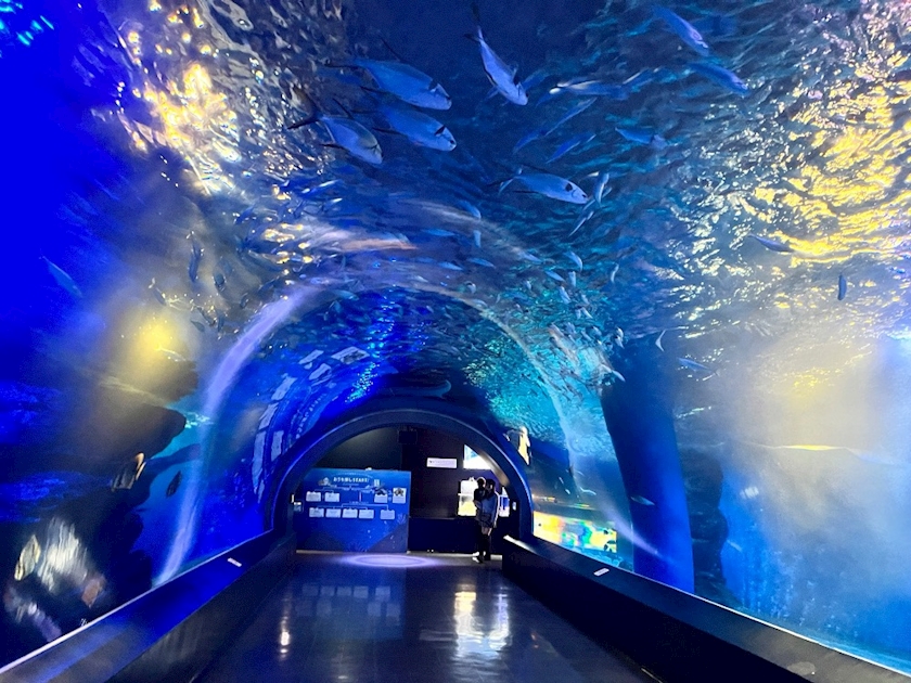 CLUB Epic日記1514319