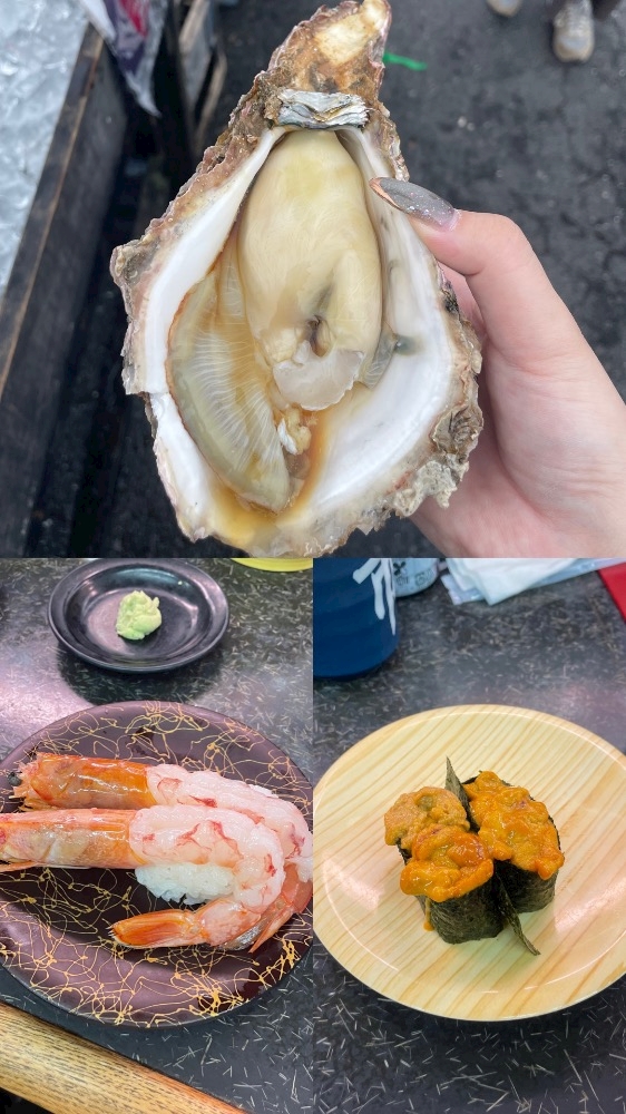 一条 葵
