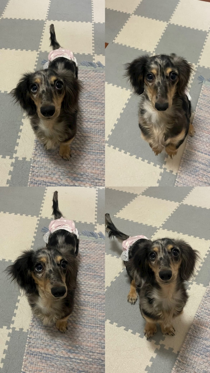 CONTINENTAL CLUB日記1557580