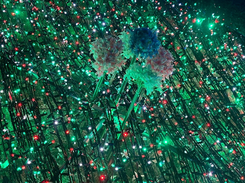 イルミネーション