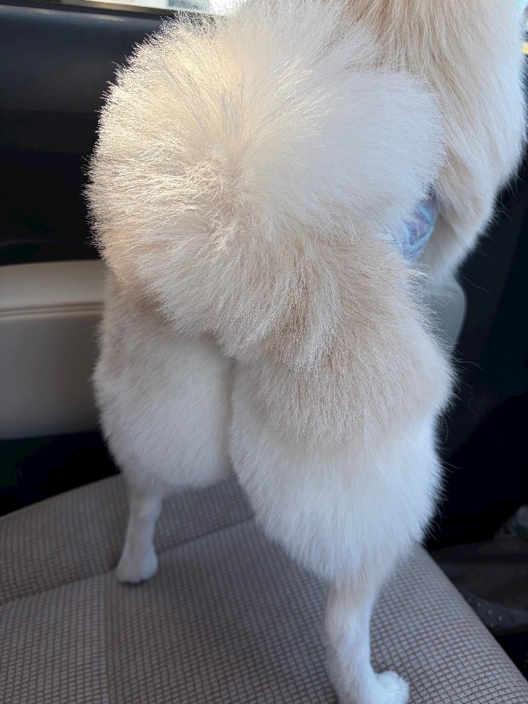 ママ七瀬　あや