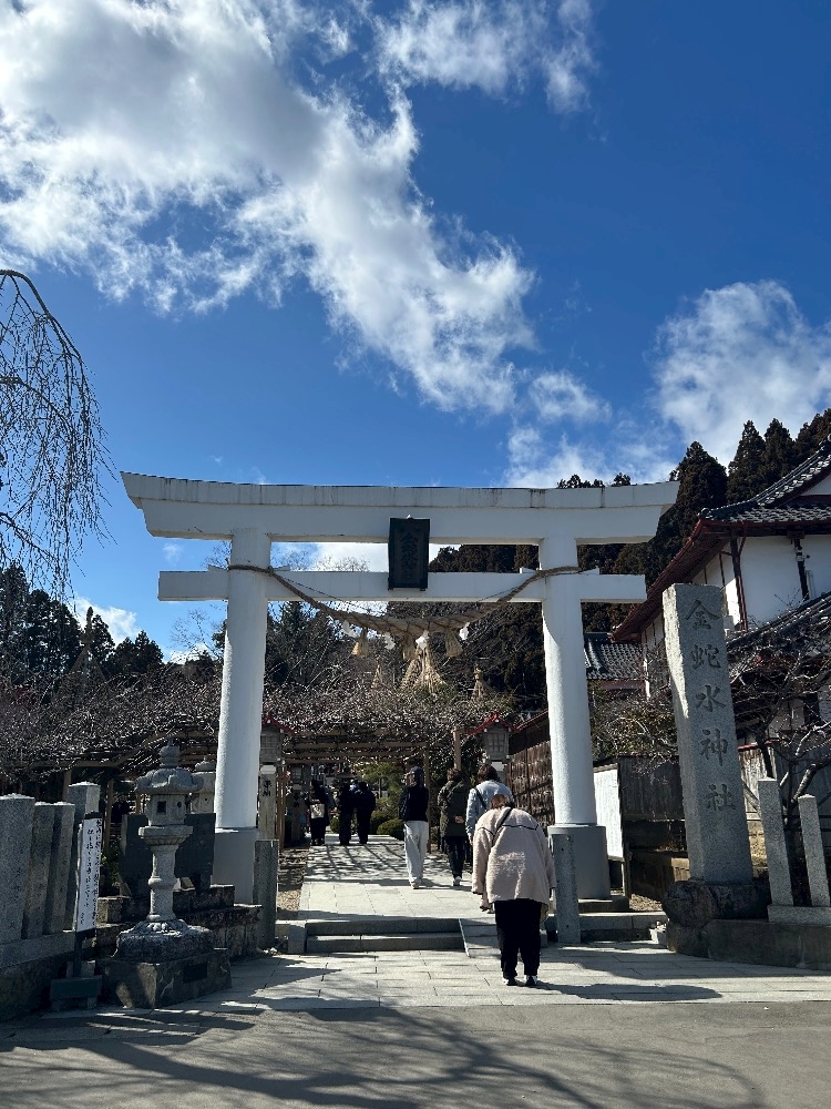 WISTERIA日記1606489