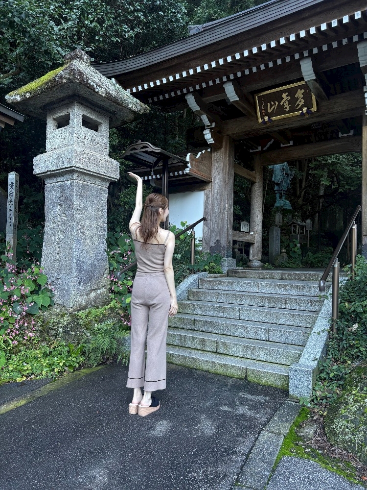 一条 葵