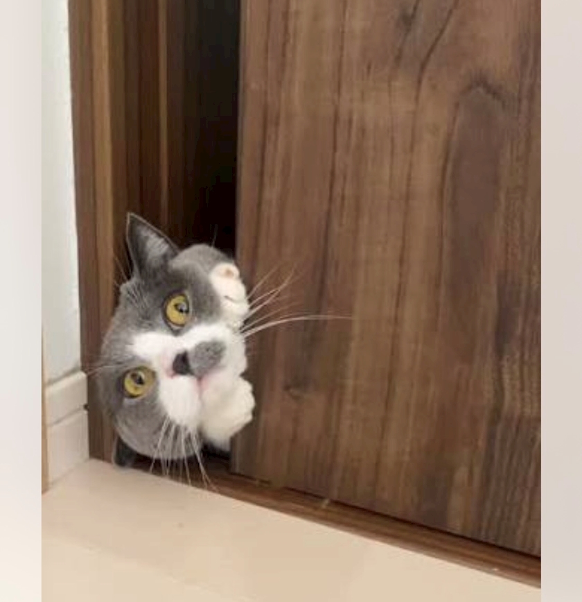 Bar Lounge 莉音　彦根駅前店日記1644796