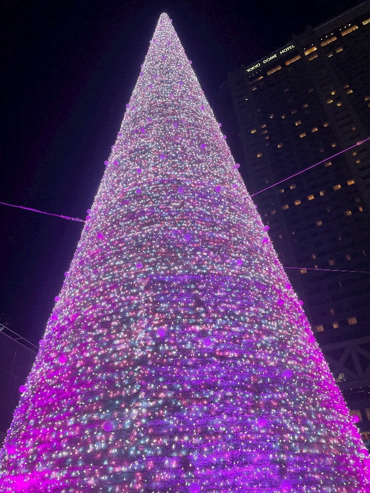 non-non日記1541308