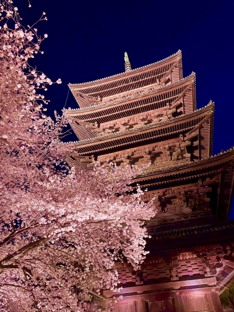 CLUB HANAN 守山店日記1631945