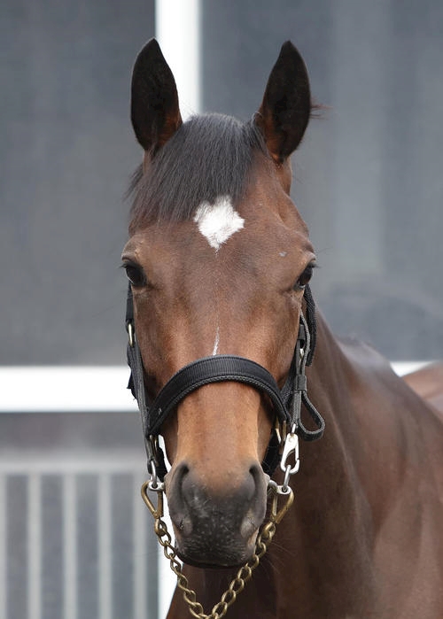 Bar Space Queen日記1553533