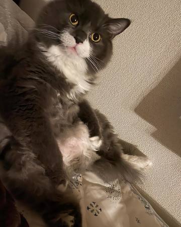 . . おじさんくさい小･･･