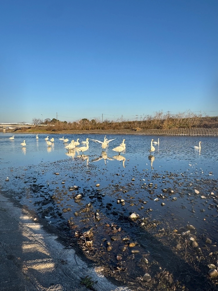 Club Twelve日記1544262