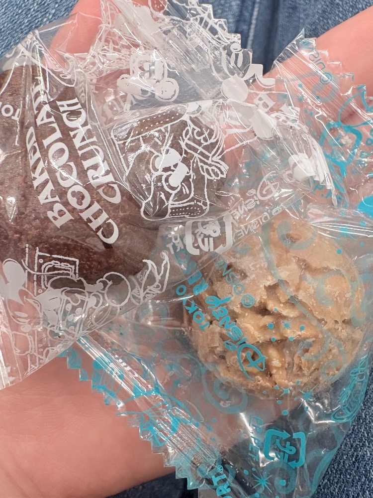 船橋 VELLUGUE 朝日記1739205