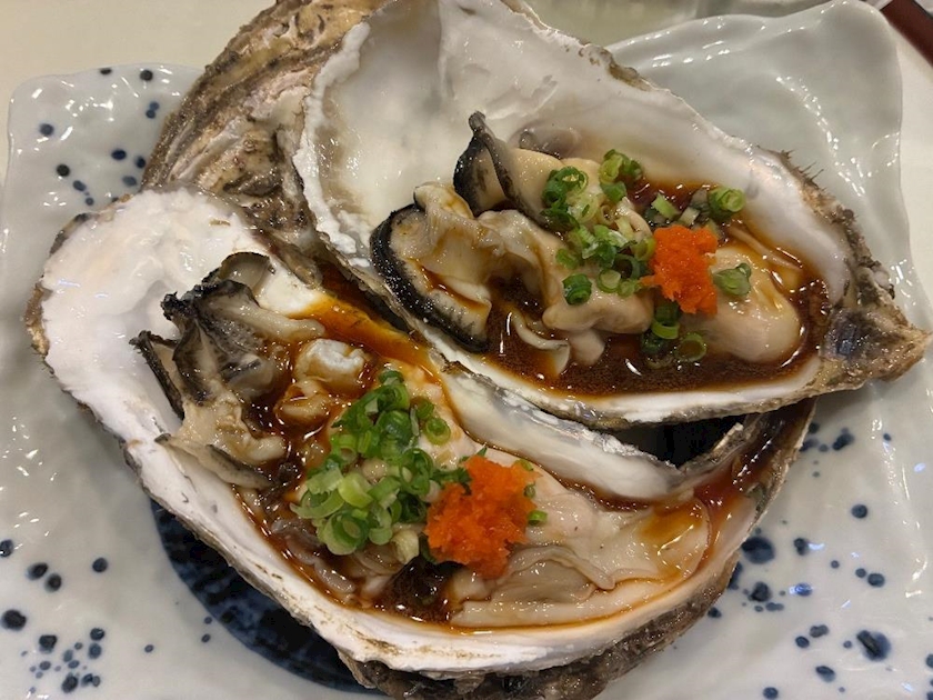 一条 葵