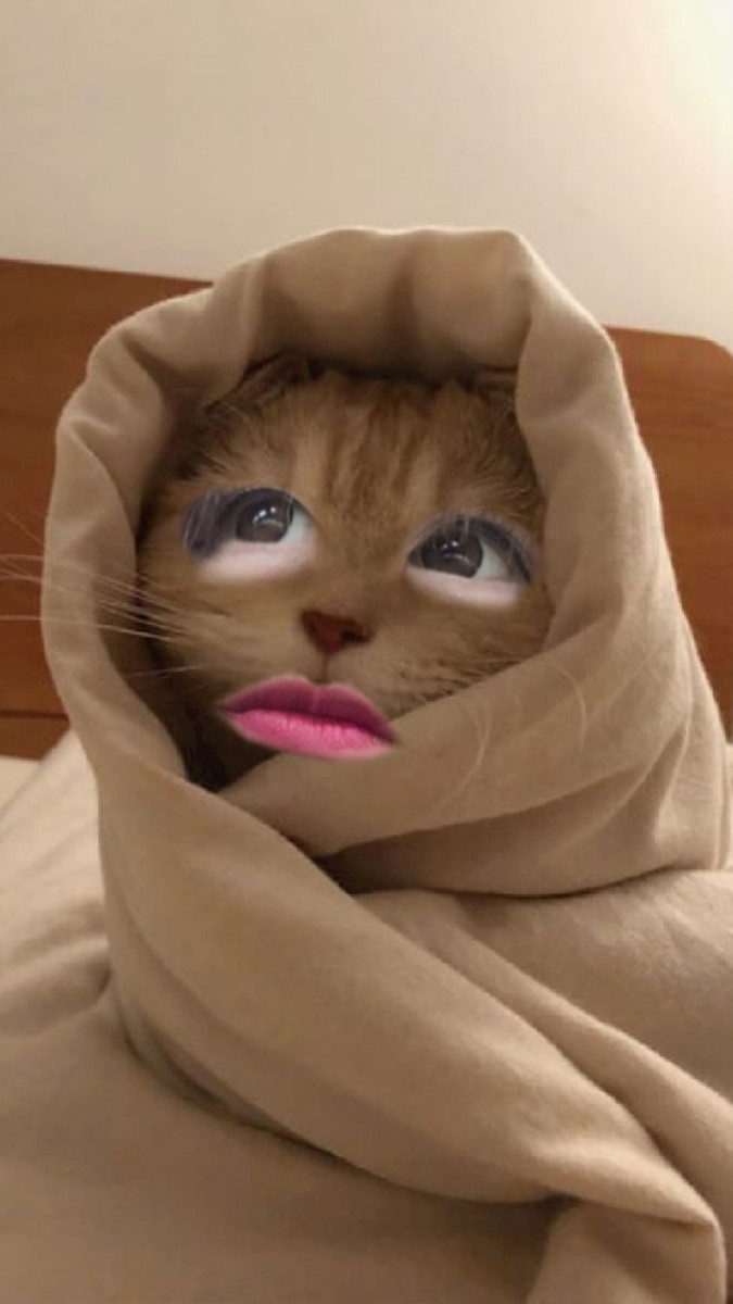 おかえりなさい日記1537942