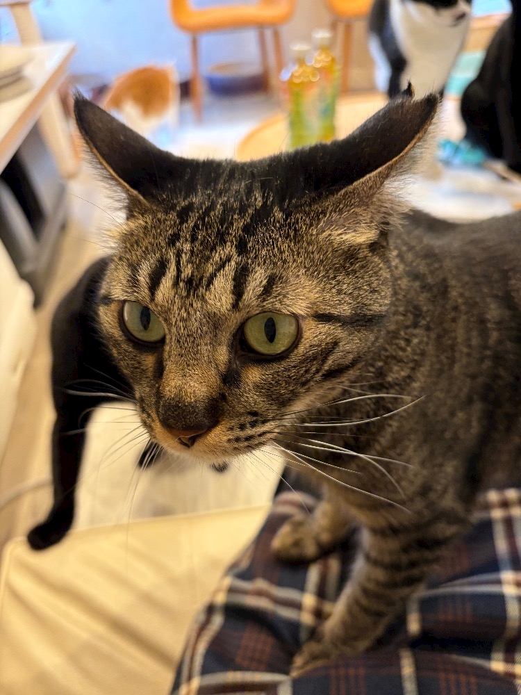 CLUB ONE CHAN -ミナミ宗右衛門町店-日記1568766