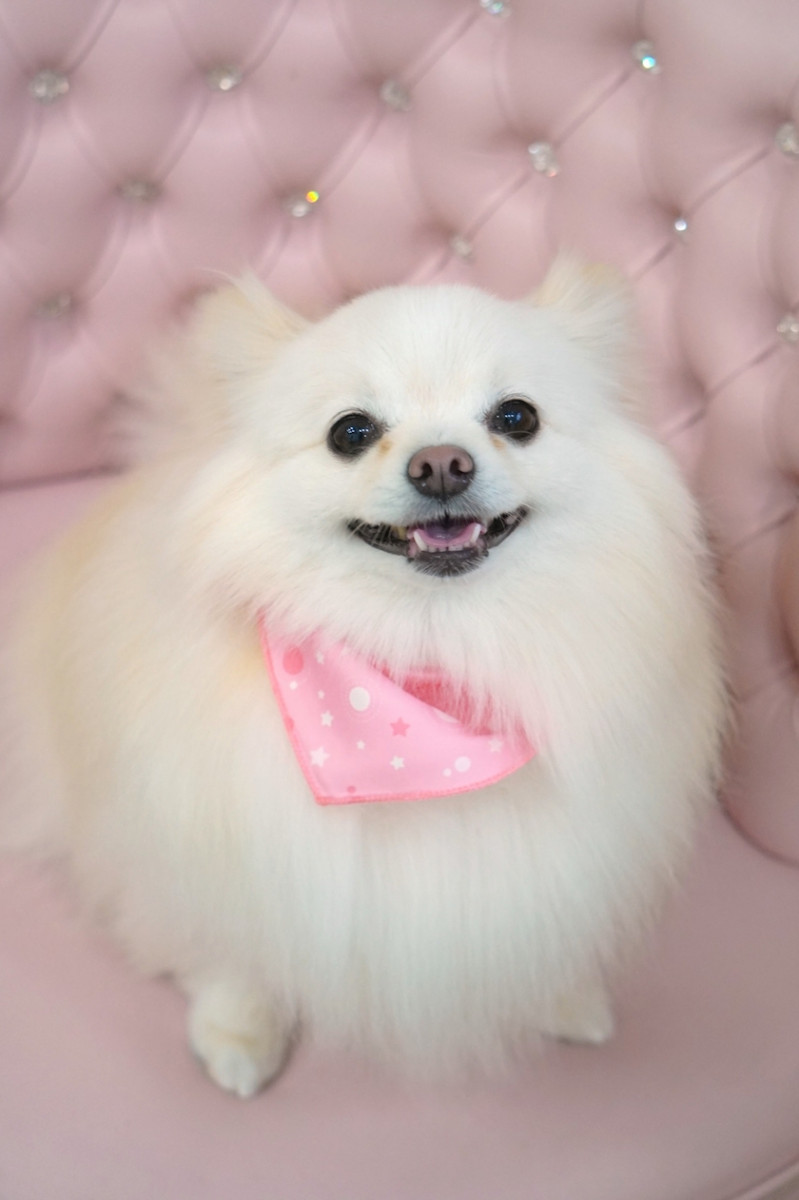 ママ七瀬　あや