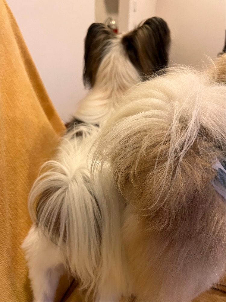 怖い話は好きだけど自分では体験しなくていい