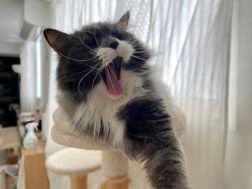 . . . 今日は2月2･･･