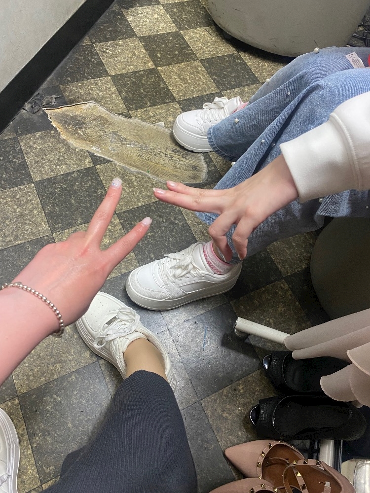 一条 葵