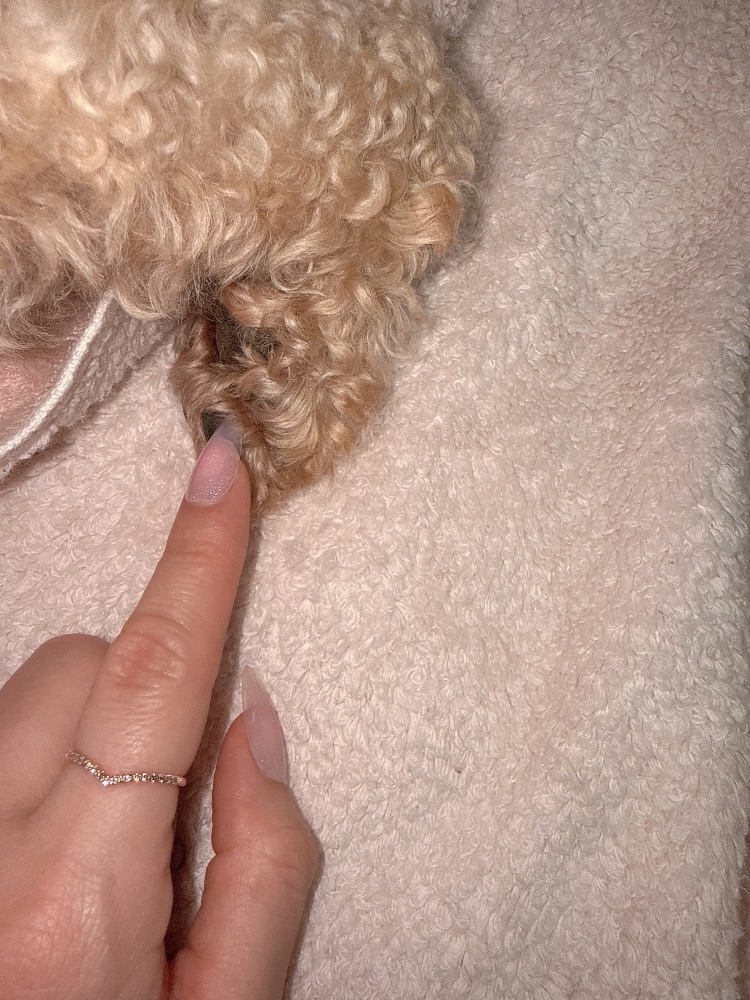 CLUB HANAN日記1627479