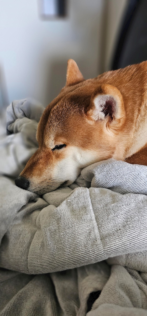 CLUB ONE CHAN 梅田堂山店日記1549677